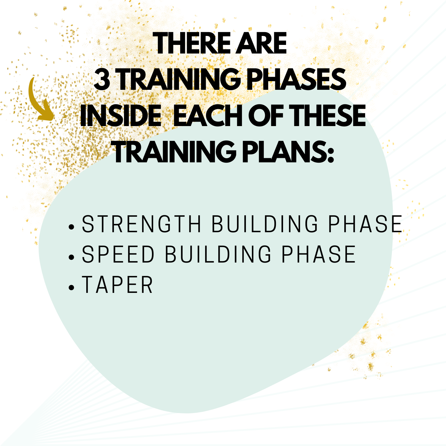 12 Week Half Marathon Training Schedule Finishing Time Goal Plans Training Phases