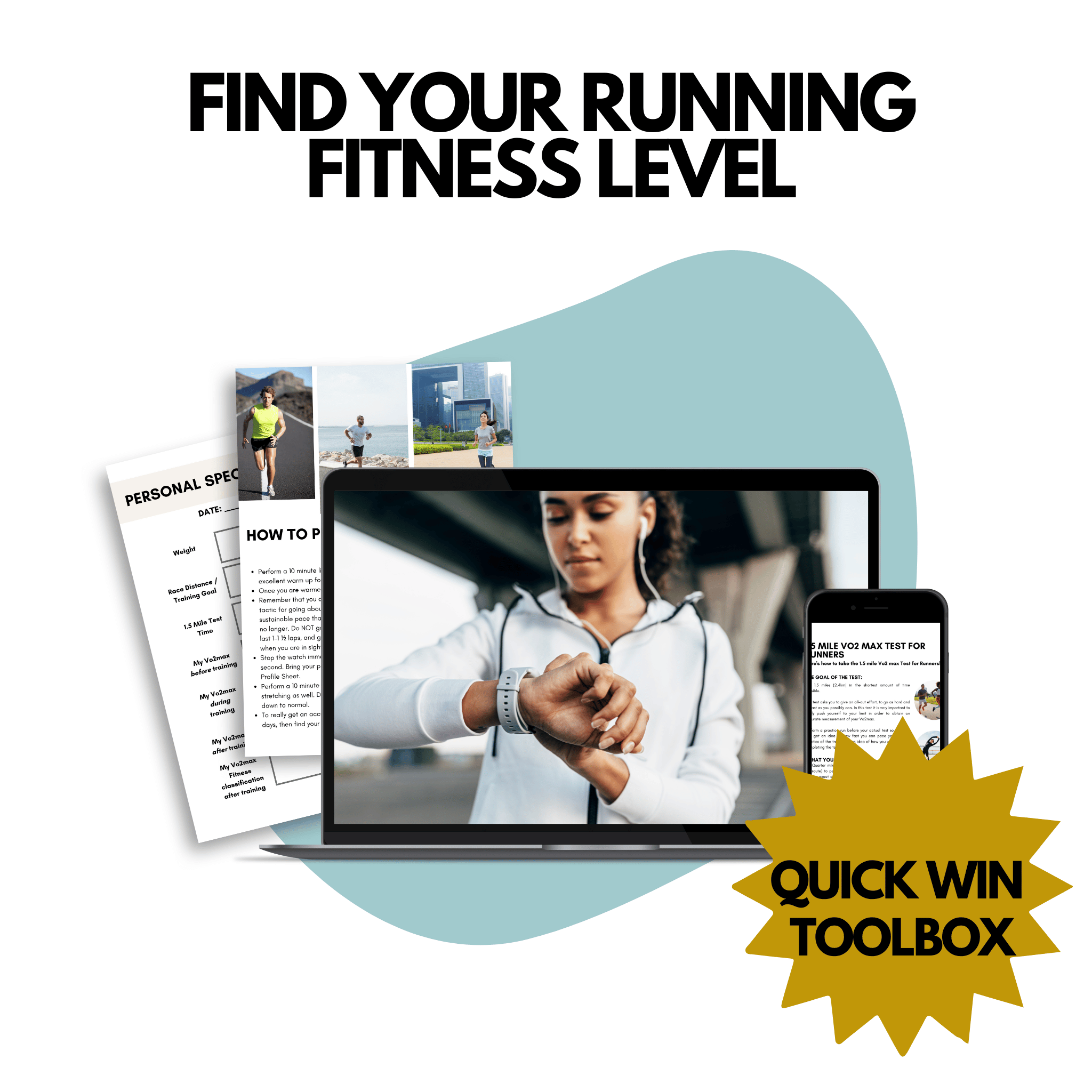 A Mockup of the Running Fitness Level Toolbox for Runners